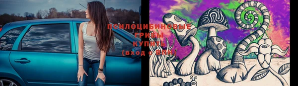 ECSTASY Пестово