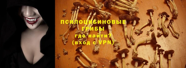 ECSTASY Пестово